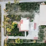 Stella's